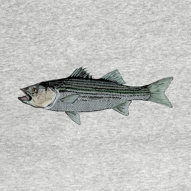 Striped bass by Hook Ink